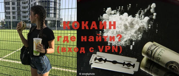 соль ск Алексин